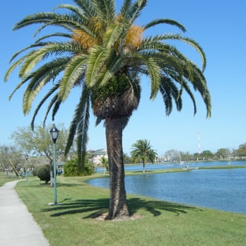 Wells Park - Lots of nice trees - Parks Near Me - Melbourne, Florida