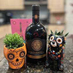 Trader Joe's - Red wine and succulents for my birthday