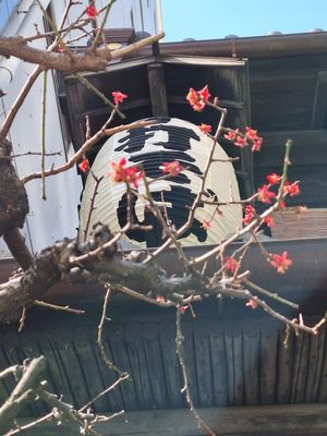 Kanda Matsuya by null