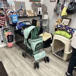 Our Donation today, Khloe Graduated from her stroller. Some other fur baby will be grateful