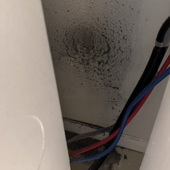 Horizon Cleaning - Super dirty behind washer and dryer, but was never cleaned by previous cleaning company. - Home Cleaning Near Me Horizon Cleaning - Super dirty behind washer and dryer, but was never cleaned by previous cleaning company. - Home Cleaning Near Me