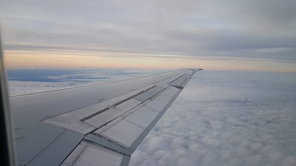 American Airlines by null