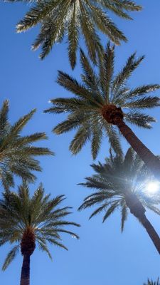 Red Rock Pool by null