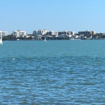 Backwaters on Sand Key - Dolphins - they're out there! - Seafood Near Me - Clearwater Beach, Florida Backwaters on Sand Key - Dolphins - they're out there! - Seafood Near Me - Clearwater Beach, Florida