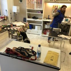 Hundesalon und Mode