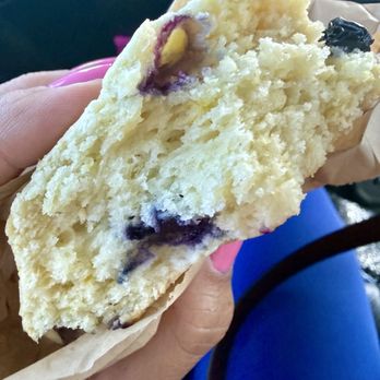 North Fork Chai - Blueberry Meyer Lemon Scone is AMAZING - Coffee & Tea Near Me - Newcastle, California North Fork Chai - Blueberry Meyer Lemon Scone is AMAZING - Coffee & Tea Near Me - Newcastle, California