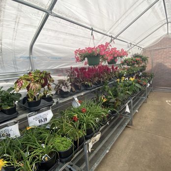 Harps Food Stores - Plants - Drugstores Near Me - Springdale, Arkansas Harps Food Stores - Plants - Drugstores Near Me - Springdale, Arkansas