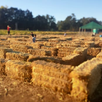 Nash Ranch - Hay Bale Maze - Pumpkin Patches Near Me - Redding, California