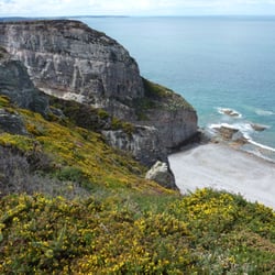 Cap Fréhel