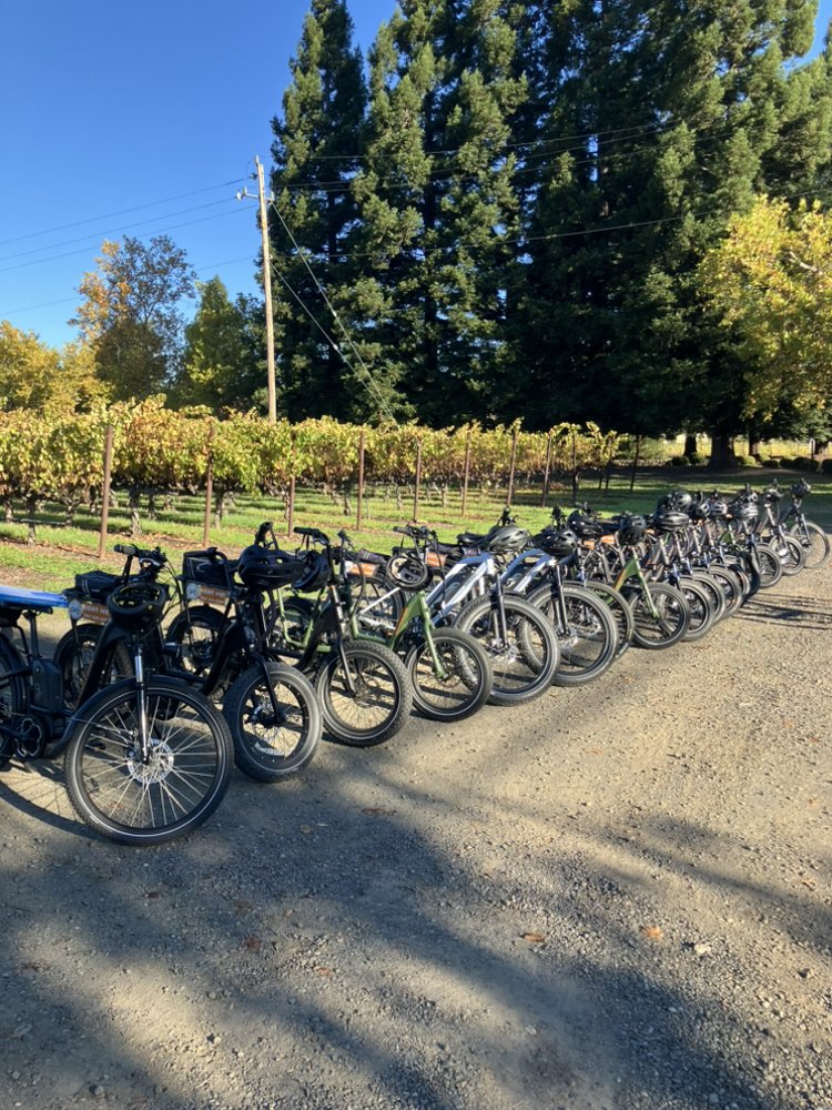 Fat Tire Bike Rentals