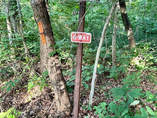 Overton Park by null