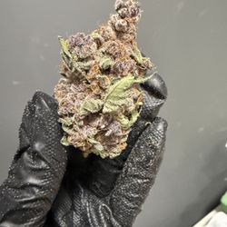 Gynsyng - Here's some of pantheon's flower.. PANTHEON CULTIVATION!! FIND IN DISPOS ALL OVER NJ!! This is Pantheons YumYum strain