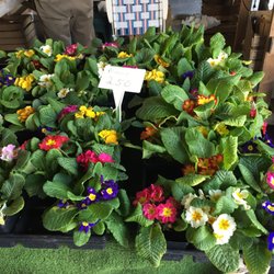 Renninger's Antique & Collectors Markets - Lots of flowers