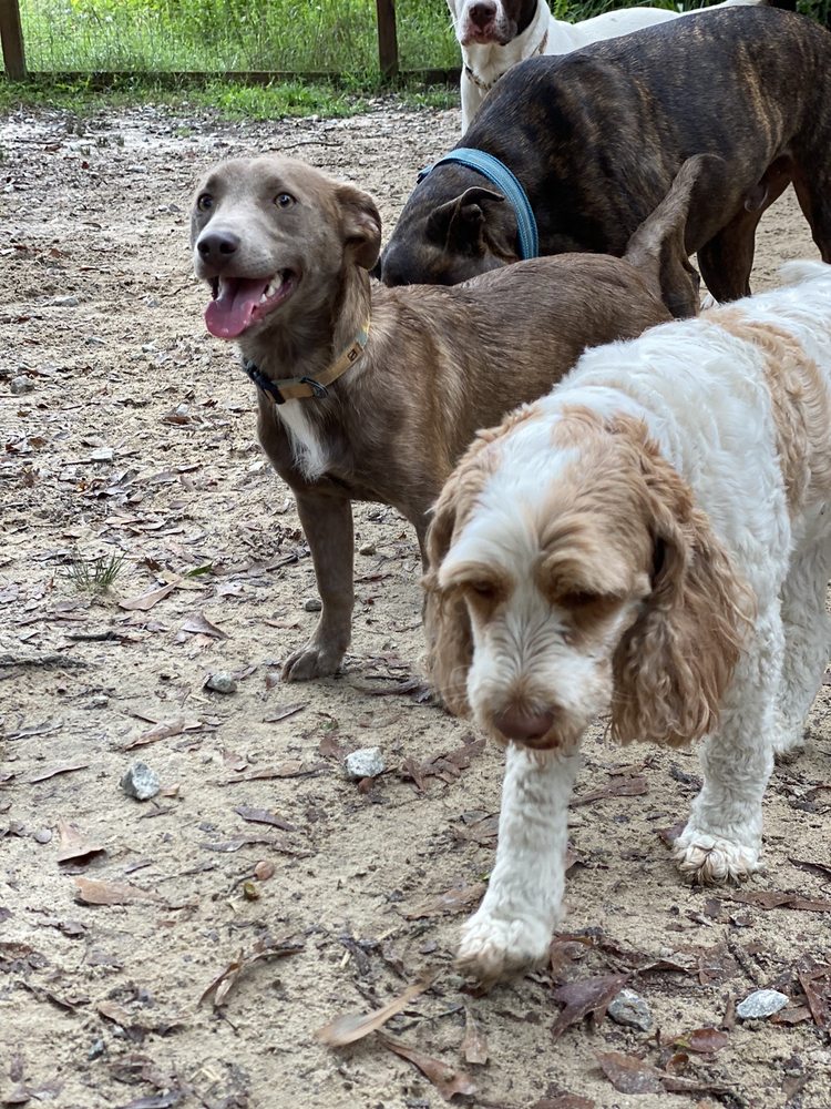 DOG RIVER RETREAT Updated September 2024 18 Photos Douglasville