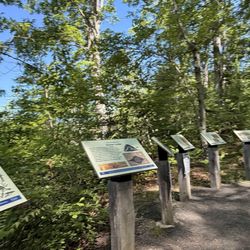 Sessions Woods Wildlife Management Area - Excellent informational posts along the trails