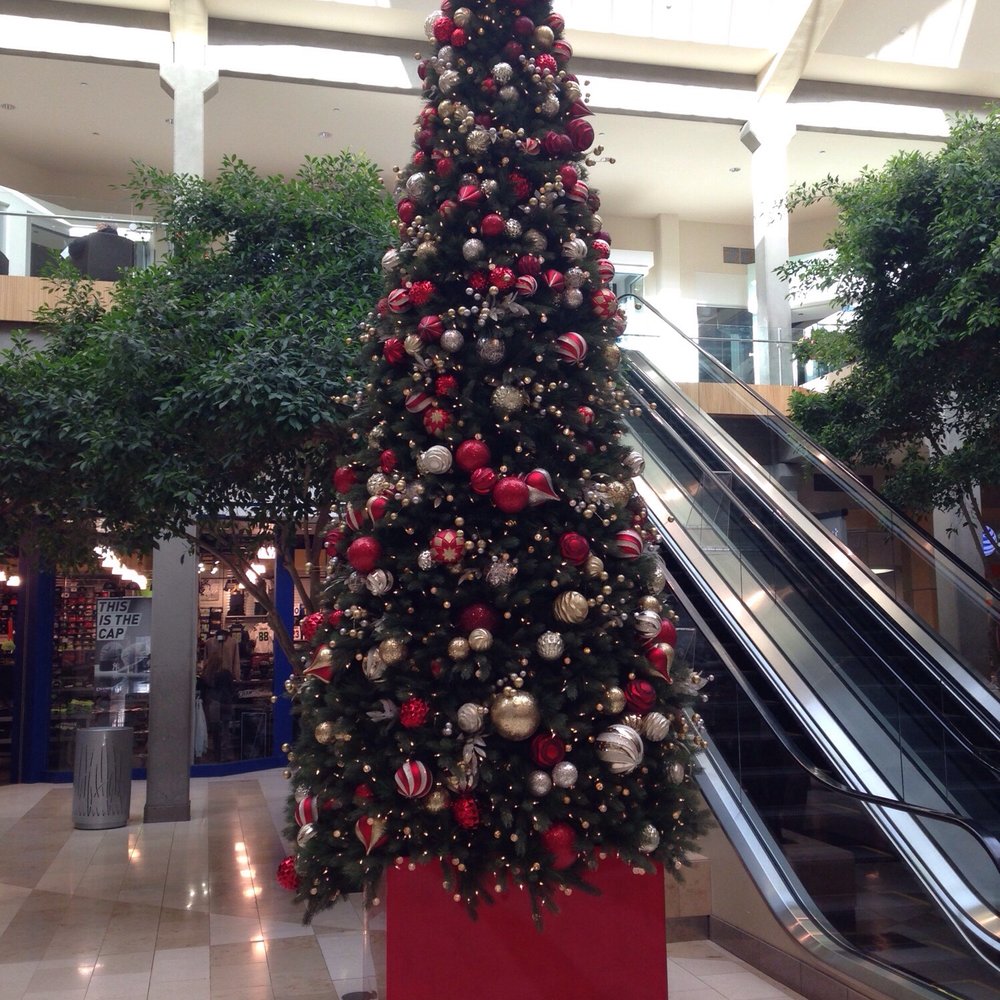Bellevue Square - A huge tree!! - Shopping Centers Near Me - Bellevue, Washington Bellevue Square - A huge tree!! - Shopping Centers Near Me - Bellevue, Washington