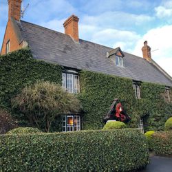 The Martins Arms - Martins Arms. Colston Bassett. Just wonderful.