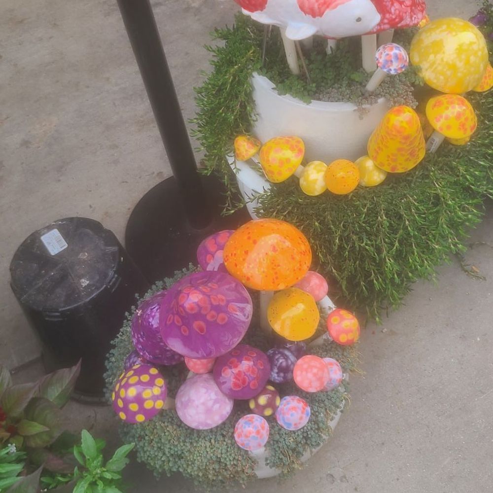 Armstrong Garden Centers - Ooh fishy! - Nurseries & Gardening Near Me - Santa Monica, California