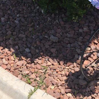 Del Mar Landscaping - Weeds - Landscaping Near Me - Henderson, Nevada