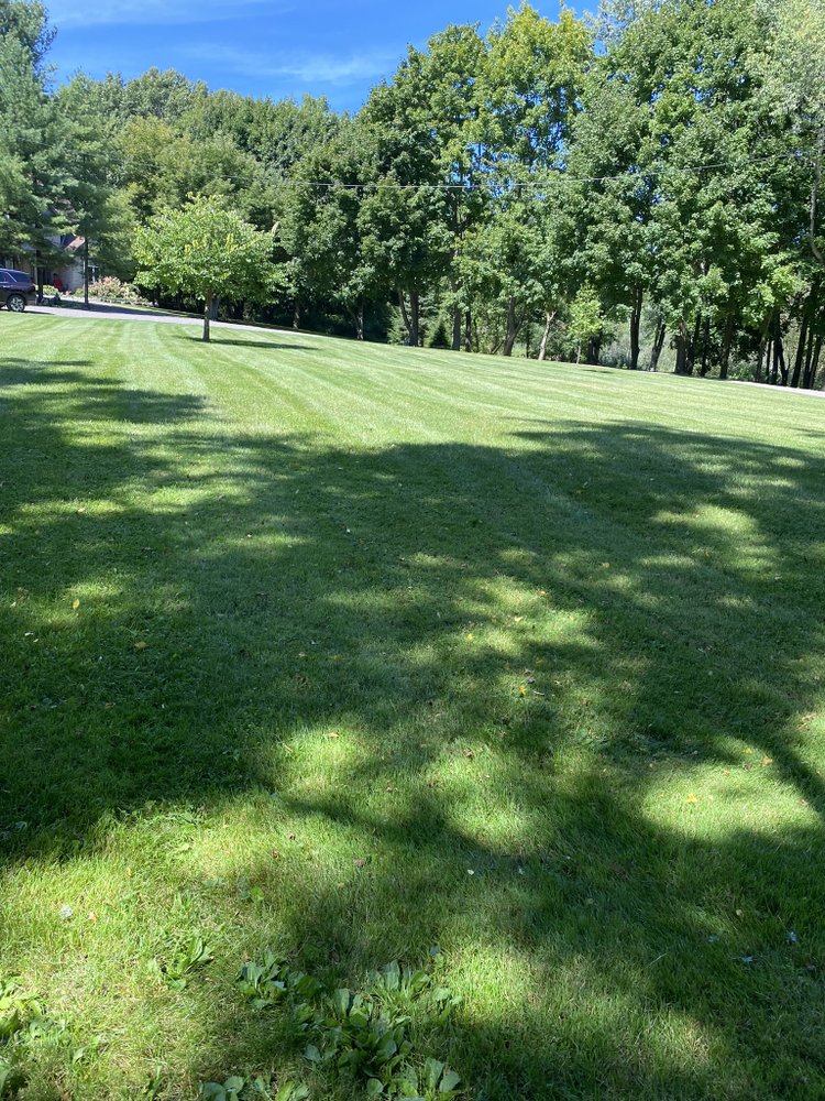 FALCONER LANDSCAPING Updated April 2024 Request a Quote Pelham