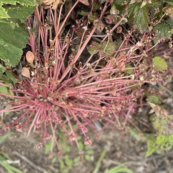 McNee Ranch State Park - Random pics from a recent hike - Parks Near Me
