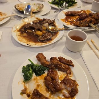 Jade Garden - The dishes we ordered came out on the same size plate as the dish that they give you to eat on. Apologies for the eaten food in picture! - Chinese Near Me - Boston, Massachusetts Jade Garden - The dishes we ordered came out on the same size plate as the dish that they give you to eat on. Apologies for the eaten food in picture! - Chinese Near Me - Boston, Massachusetts