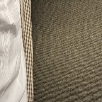 Palihotel Seattle - Liquid stains next to the bed - Hotels Near Me - Seattle, Washington Palihotel Seattle - Liquid stains next to the bed - Hotels Near Me - Seattle, Washington