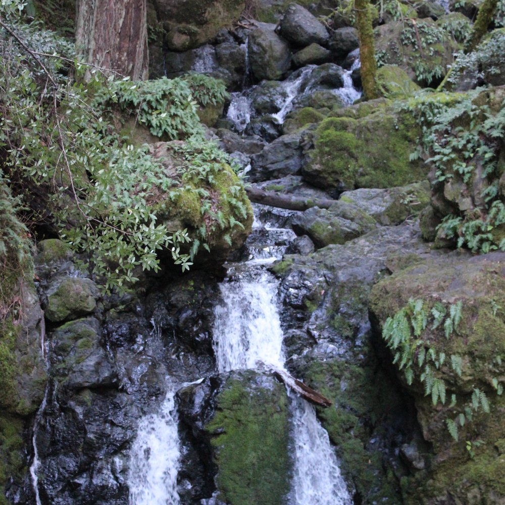 Cataract Falls Trail - Hiking Near Me Cataract Falls Trail - Hiking Near Me