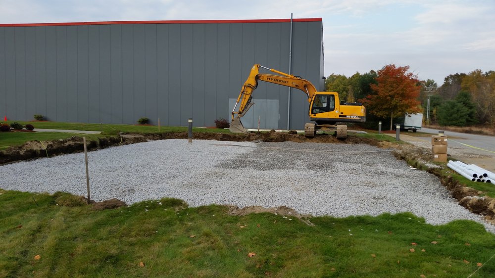 Slide of A Bee Septic