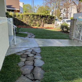 The Gardener - Our incredible lawn just eight hours after they started! - Landscaping Near Me