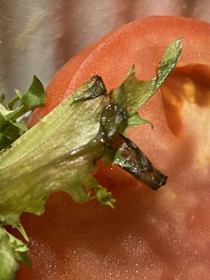 Norway Brewing Company by null