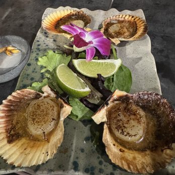 Embarcadero 41 - Conchas brasa (4 grilled scallops cooked in citrus butter) - Seafood Near Me - Pembroke Pines, Florida Embarcadero 41 - Conchas brasa (4 grilled scallops cooked in citrus butter) - Seafood Near Me - Pembroke Pines, Florida