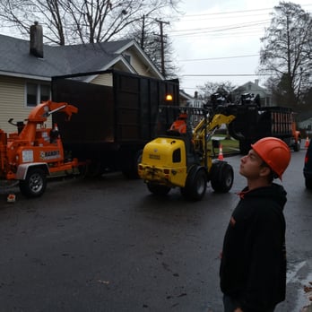 Cut Knuckle - Tree Services Near Me - Portsmouth, Virginia Cut Knuckle - Tree Services Near Me - Portsmouth, Virginia