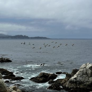 17-Mile Drive Scenic Tour - View - Local Flavor Near Me 17-Mile Drive Scenic Tour - View - Local Flavor Near Me
