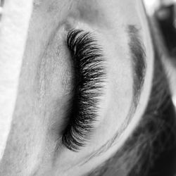 Eye Envy Lash and Brows Studio - Mega Volume