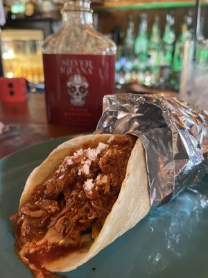 The Silver Iguana by null