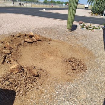 Mike's Tree Service - Finished now to haul away what Mike should have. - A dug-out hole with dirt and roots is visible in a gravel yard, near a cactus and a building, with a road in the background. - Tree Services Near Me