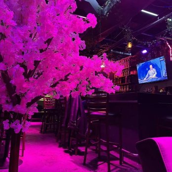 Provence Bar - Provence bar, cherry blossom tree - Bars Near Me - Flushing, New York
