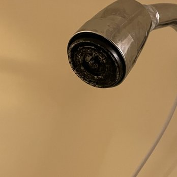 Snowy Owl Inn - Shower head. - Hotels Near Me - Waterville Valley, New Hampshire Snowy Owl Inn - Shower head. - Hotels Near Me - Waterville Valley, New Hampshire