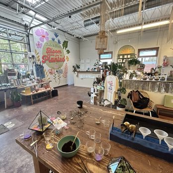 Jade & Clover - Nurseries & Gardening Near Me - Phoenix, Arizona