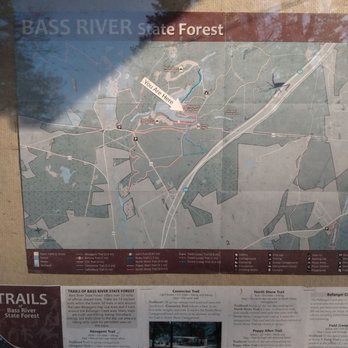 Bass River State Forest - Parks Near Me - Tuckerton, New Jersey Bass River State Forest - Parks Near Me - Tuckerton, New Jersey