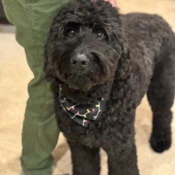 Petco - Pet Training Near Me - Frederick, Maryland