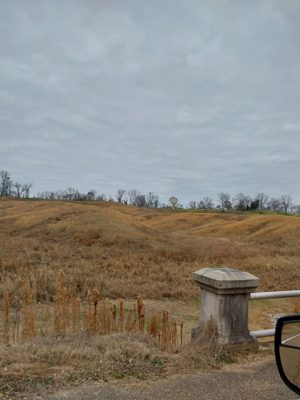 Vicksburg National Military Park by null