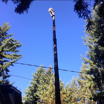 McKenzie Tree Care - Tree Services Near Me