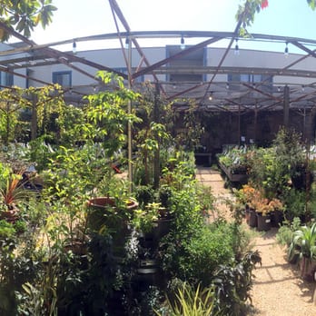 Flowerland - lots of plant aisles to wander thru - Nurseries & Gardening Near Me - Albany, California