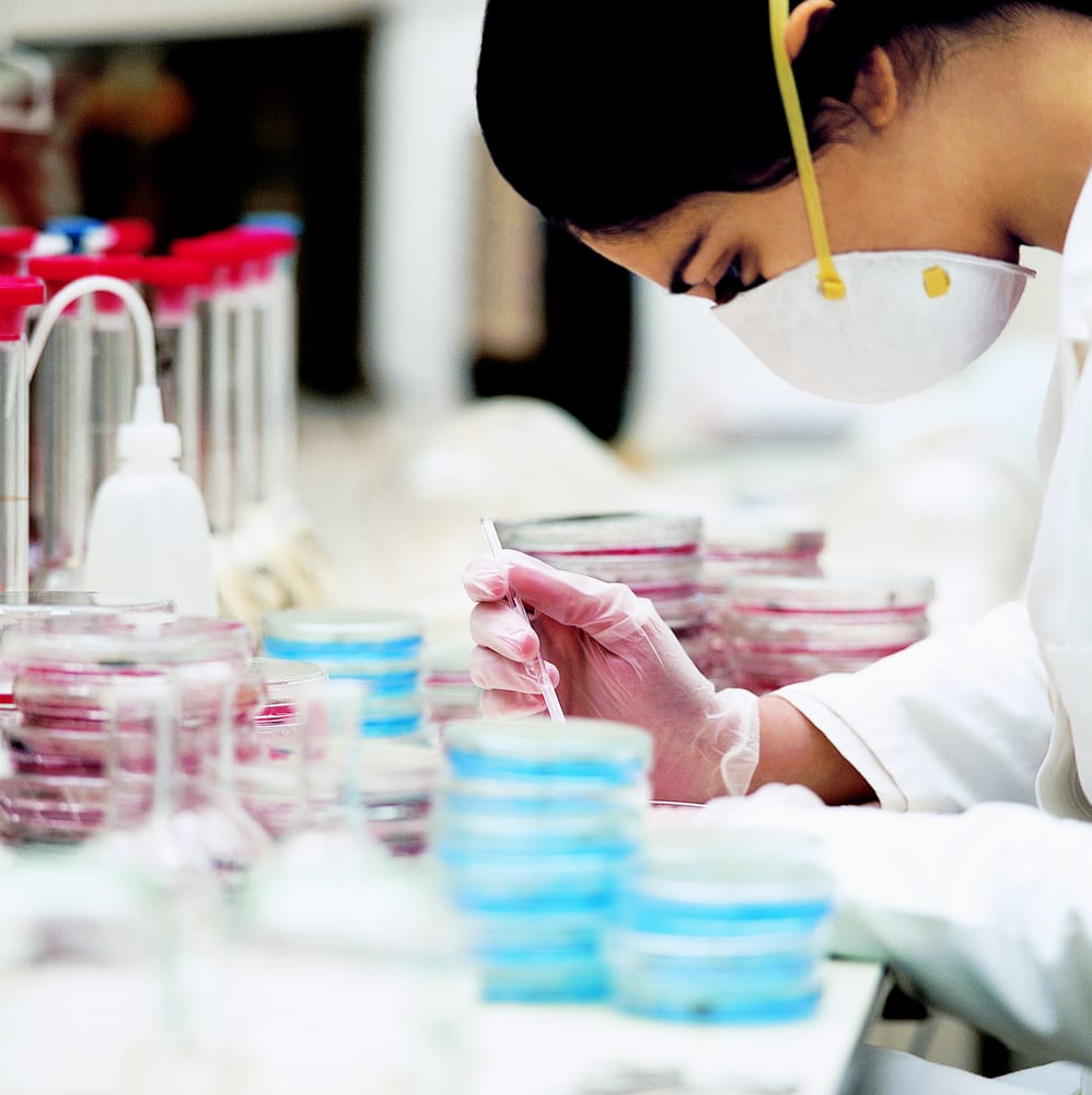 Envirocheck - mold inspector in Hayward, CA