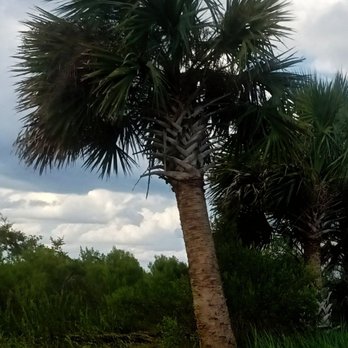 Wakulla Beach - Boating Near Me - Crawfordville, Florida