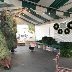 Pinery Christmas Trees