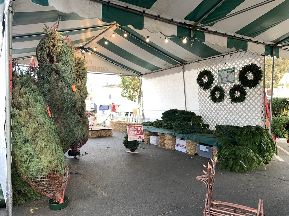 PINERY CHRISTMAS TREES Updated September 2024 26 Photos & 30