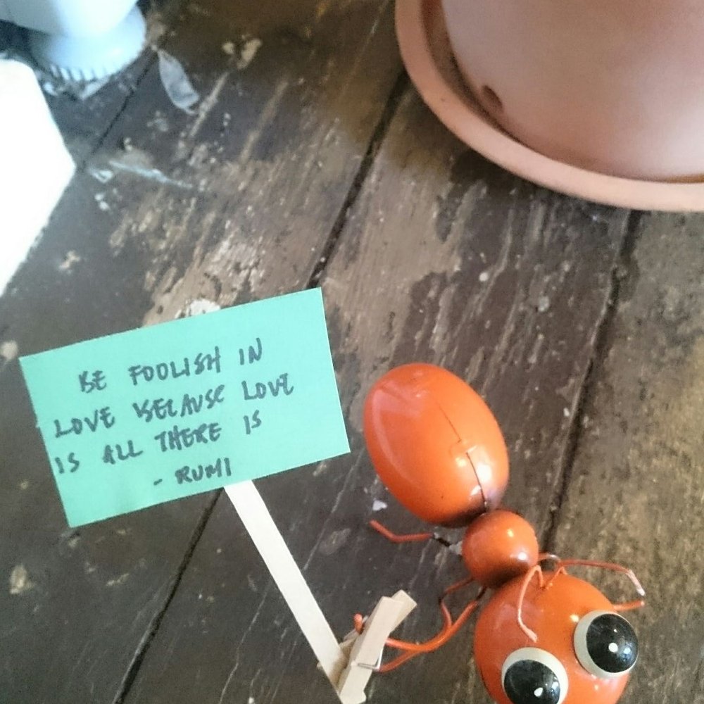 Hoppipolla - Cafes Near Me - Lund, M Hoppipolla - Cafes Near Me - Lund, M